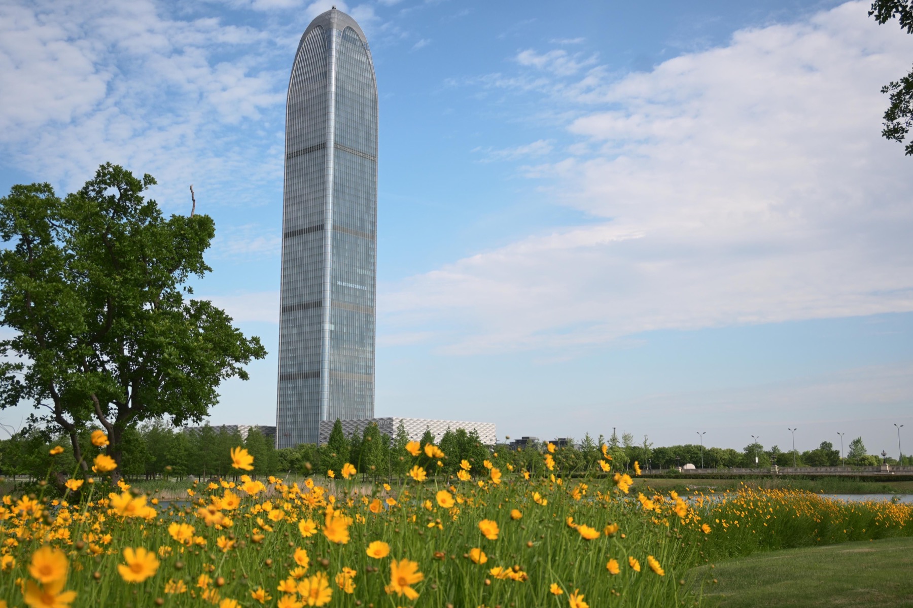 Modern tower rising above yellow flowers